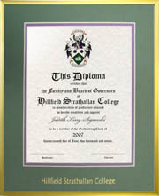 12X15 Satin gold metal diploma frame with green/purple double mat board